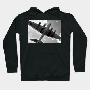 Tough old bird Hoodie